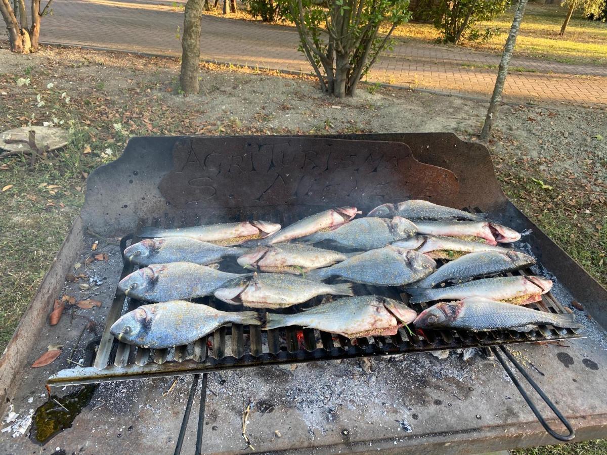 Agriturismo San Michele San Michele  外观 照片